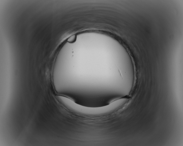 X0000082981505200703020245
