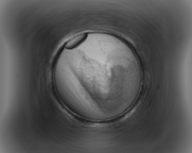 X0000082981506200703020245