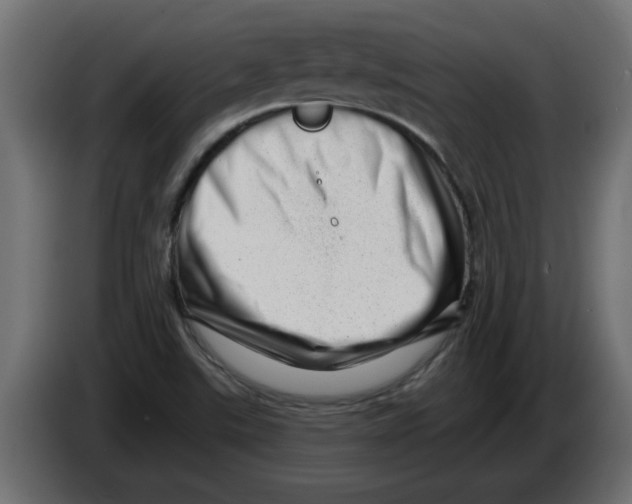 X0000082981507200703020245