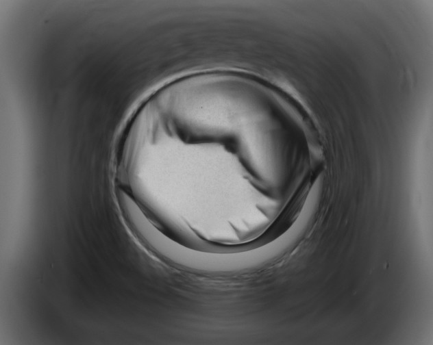 X0000082981508200703020245