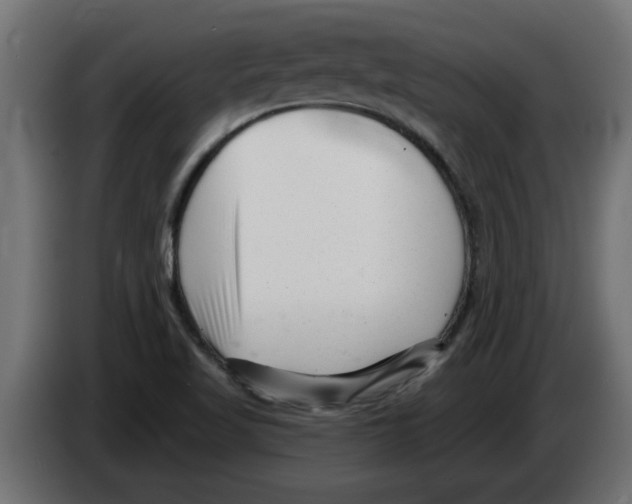 X0000082981509200703020245