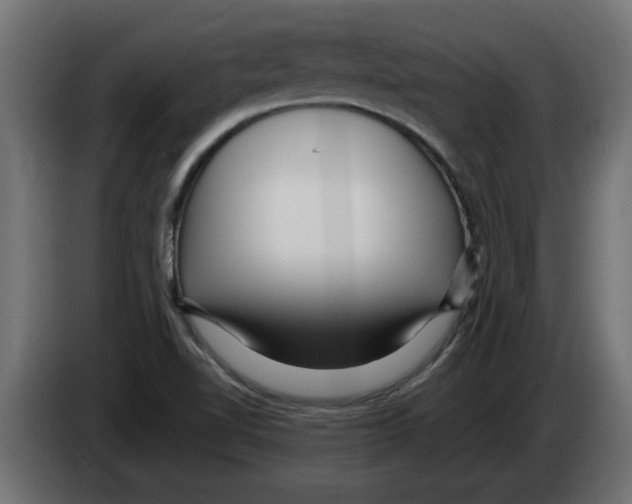 X0000082981510200703020245