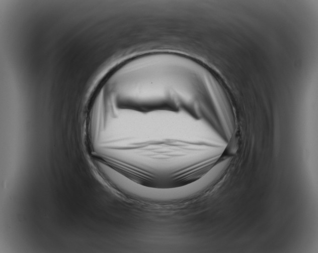 X0000082981511200703020245