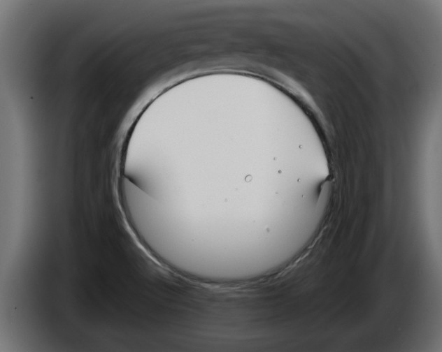 X0000082981512200703020245
