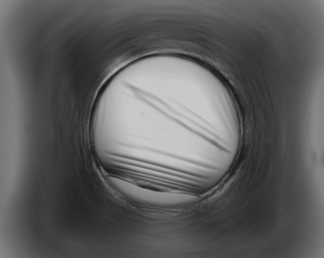 X0000082981513200703020245