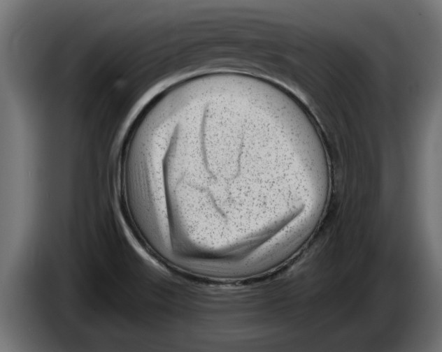 X0000082981515200703020245