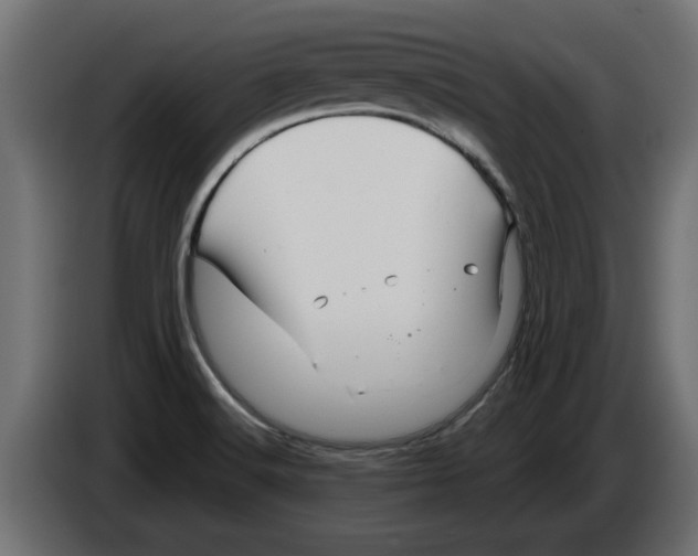 X0000082981516200703020245