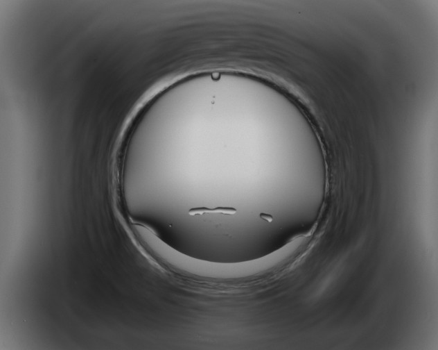 X0000082981517200703020245