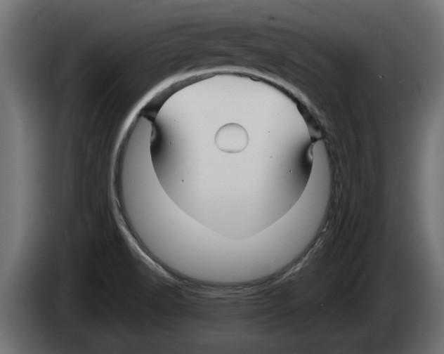X0000082981518200703020245