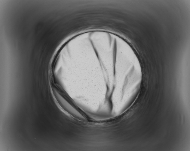 X0000082981519200703020245