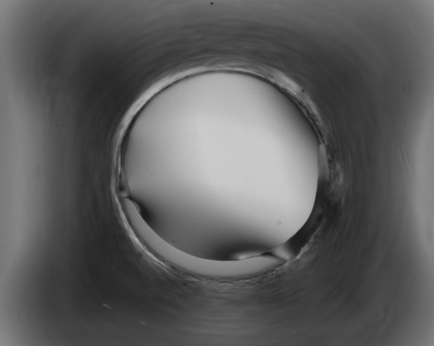 X0000082981520200703020245