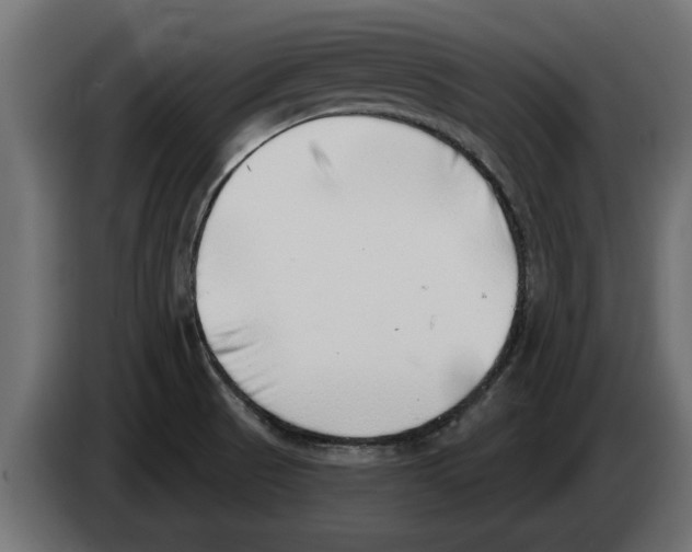 X0000082981521200703020245