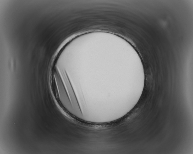 X0000082981523200703020245