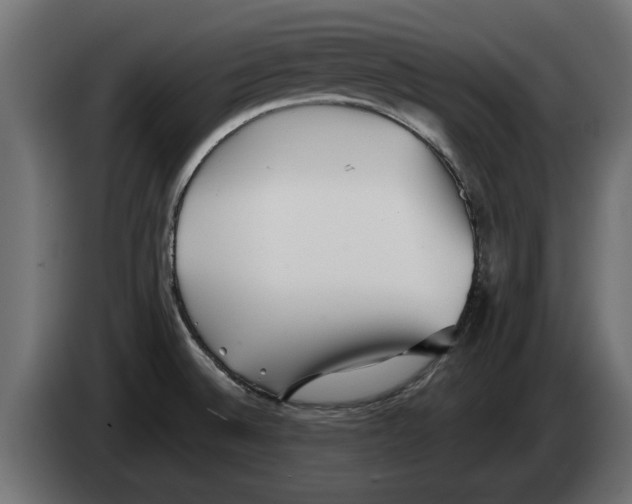 X0000082981524200703020245