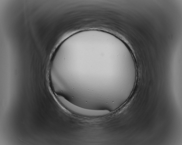 X0000082981525200703020245