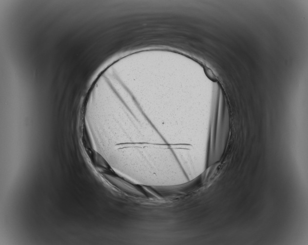 X0000082981526200703020245