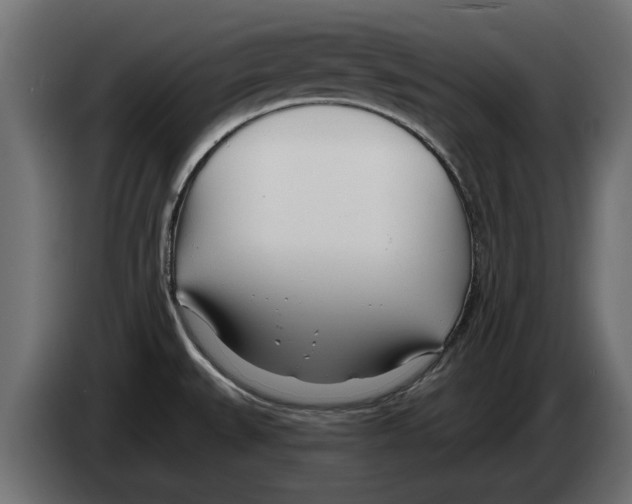 X0000082981527200703020245