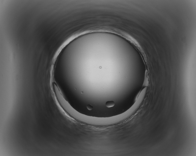 X0000082981528200703020245