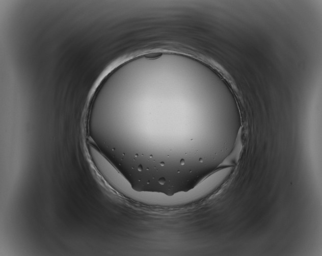 X0000082981530200703020245