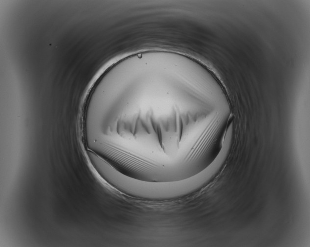 X0000082981531200703020245