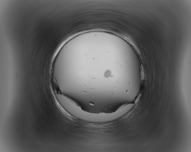 X0000082981532200703020245