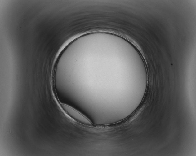 X0000082981533200703020245