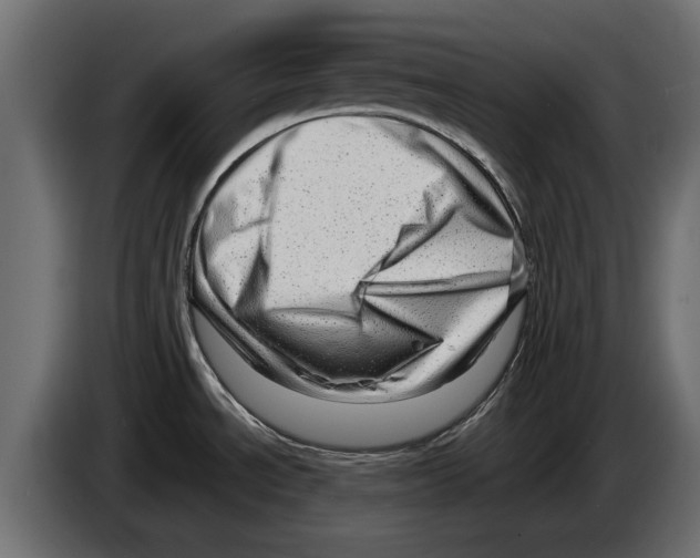 X0000082981534200703020245
