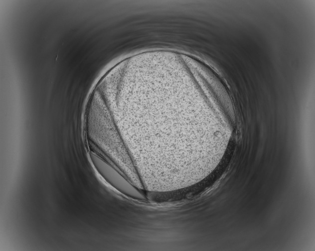 X0000082981535200703020245