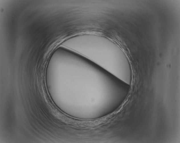 X0000082990001200702011156