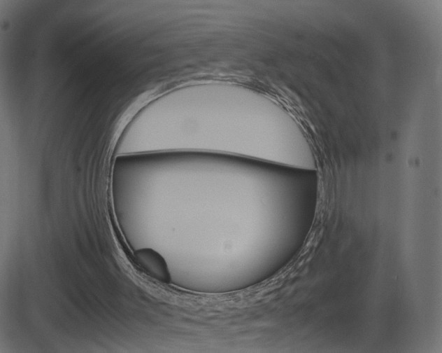 X0000082990003200702011156