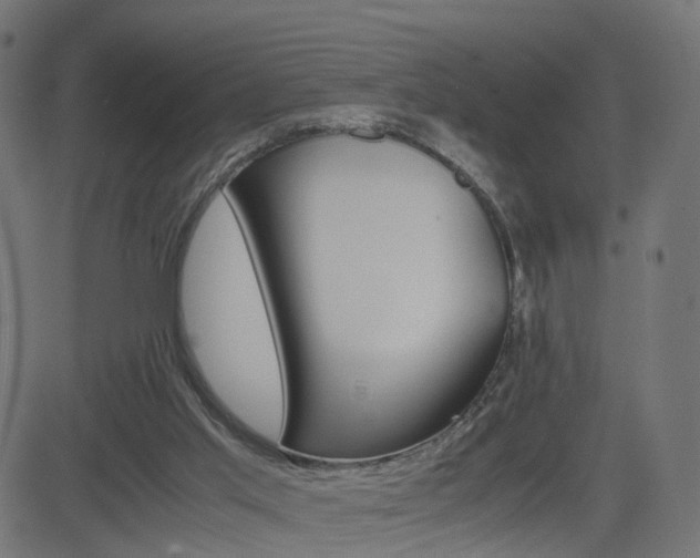 X0000082990013200702011155