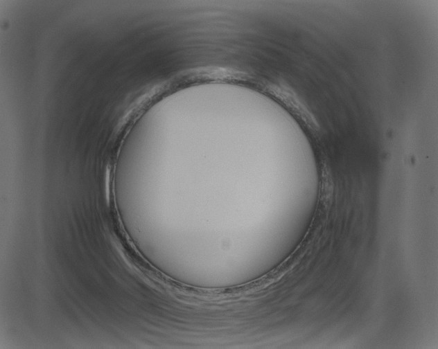 X0000082990014200702011155