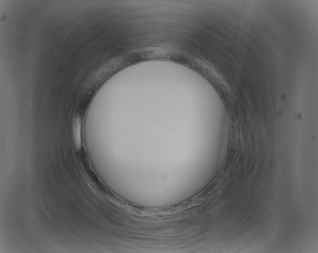 X0000082990022200702011155