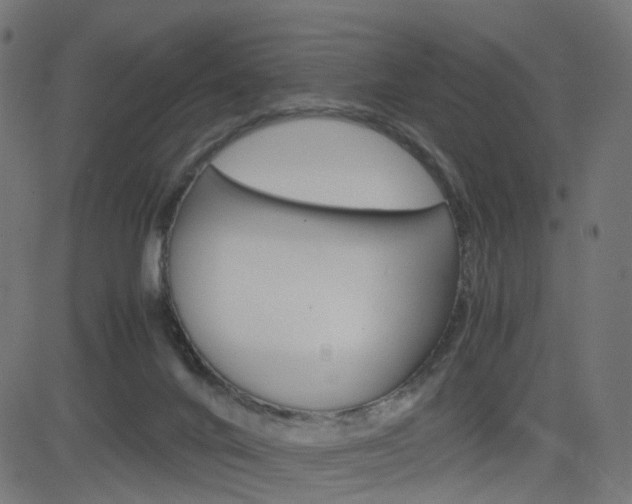 X0000082990024200702011155