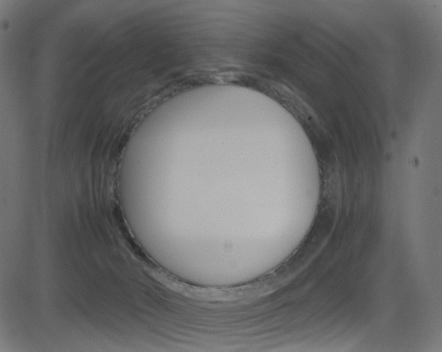 X0000082990030200702011155