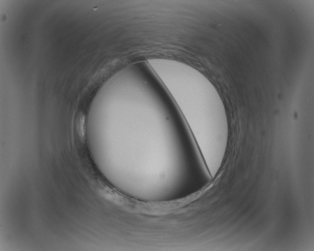 X0000082990041200702011155