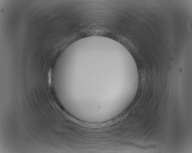 X0000082990042200702011155