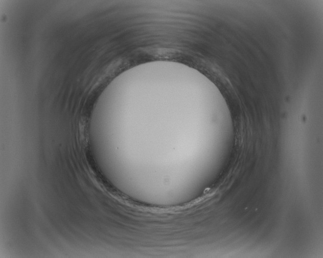 X0000082990044200702011155