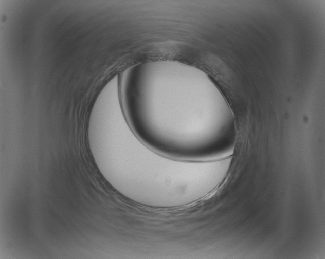 X0000082990045200702011155