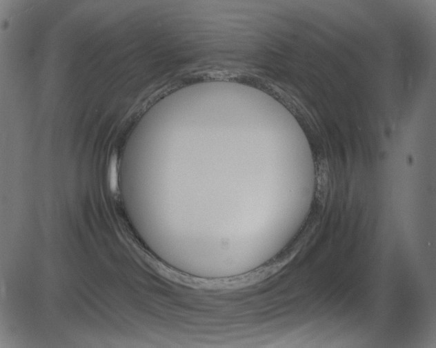 X0000082990046200702011155