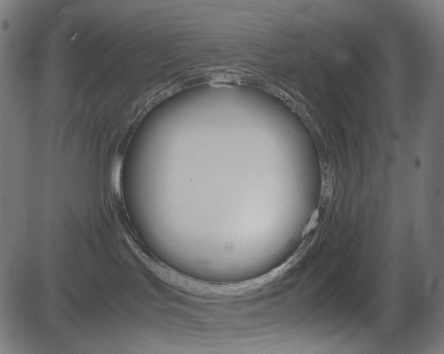 X0000082990047200702011155