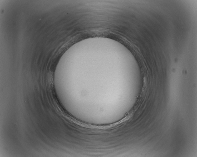 X0000082990048200702011155