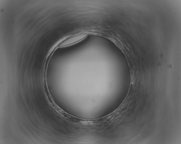 X0000082990052200702011154