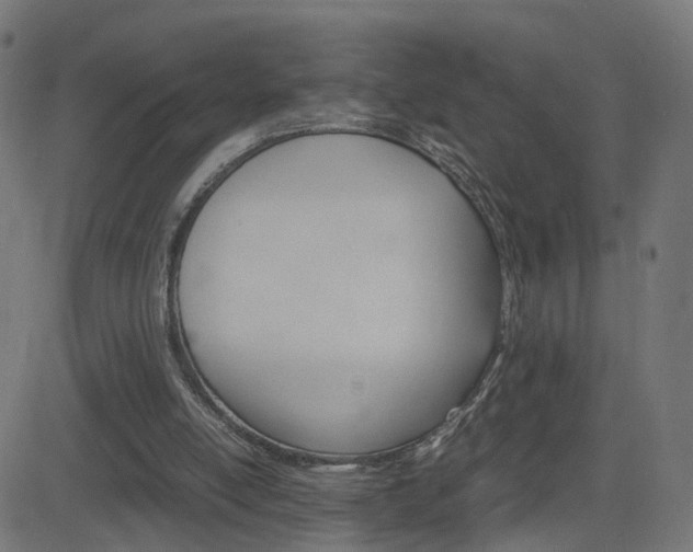 X0000082990054200702011154