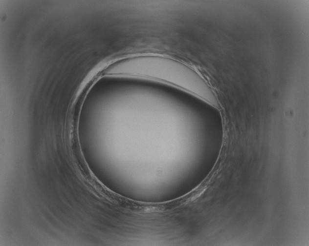 X0000082990056200702011154