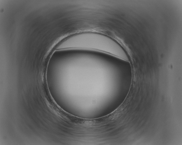 X0000082990060200702011154