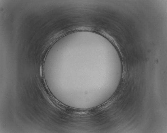 X0000082990061200702011154