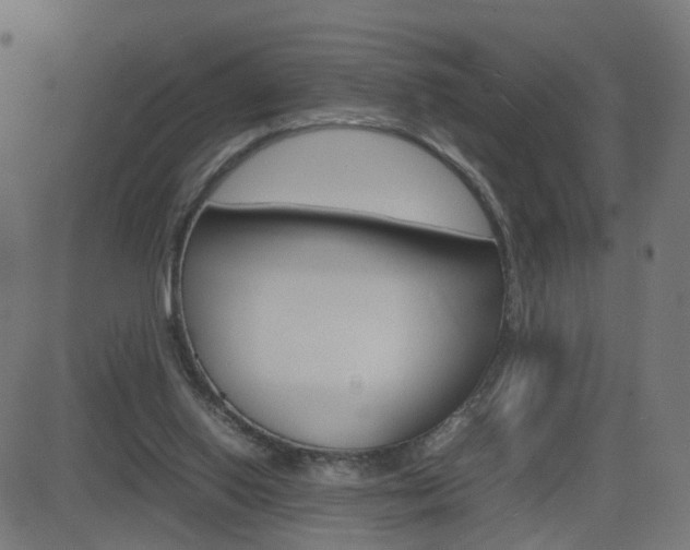 X0000082990062200702011154