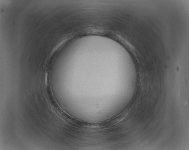 X0000082990067200702011154