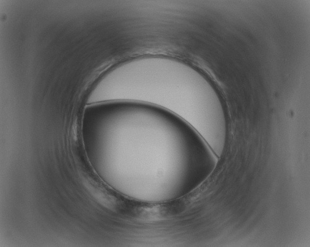 X0000082990068200702011154